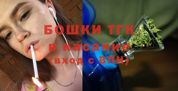 спайс Богданович