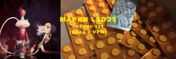 PSILOCYBIN Белокуриха