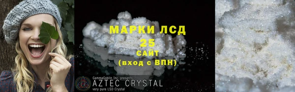 PSILOCYBIN Белокуриха