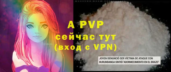PSILOCYBIN Белокуриха