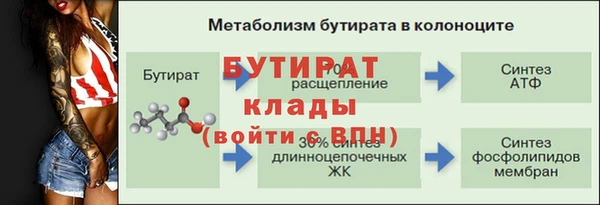 PSILOCYBIN Белокуриха