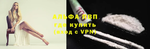 спайс Богданович