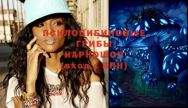 PSILOCYBIN Белокуриха