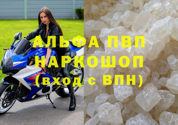 PSILOCYBIN Белокуриха
